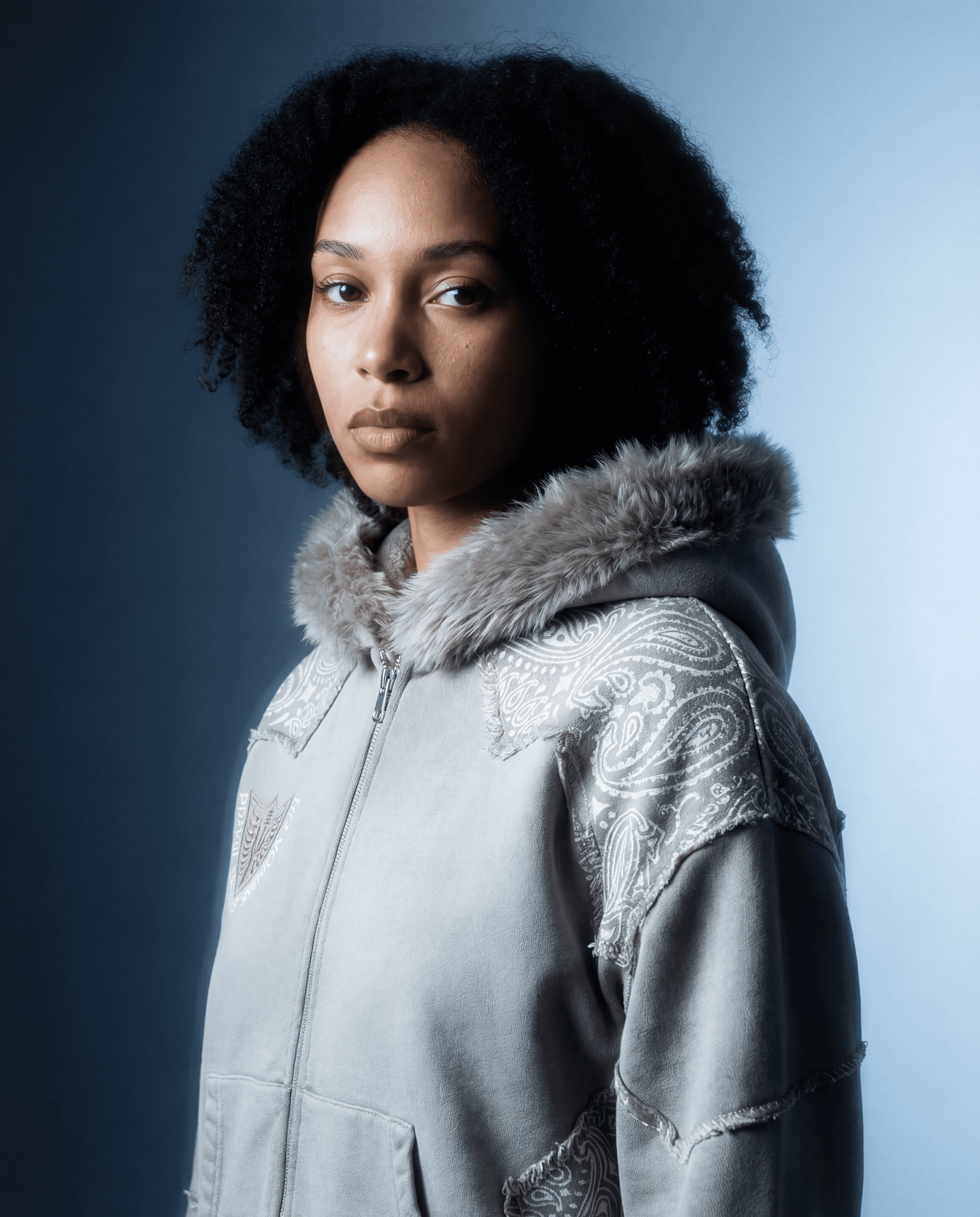 Berserker's Guard: Whole Armor Of God Fur Hoodie